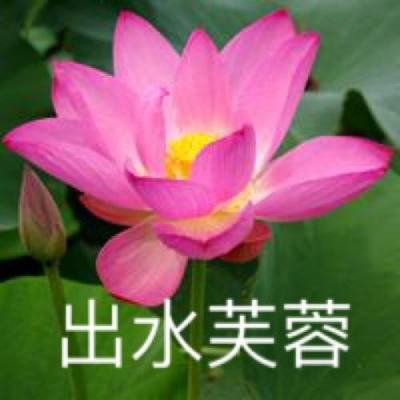 黑龙江省望奎县：亲子研学乐趣多 寓教于乐助成长